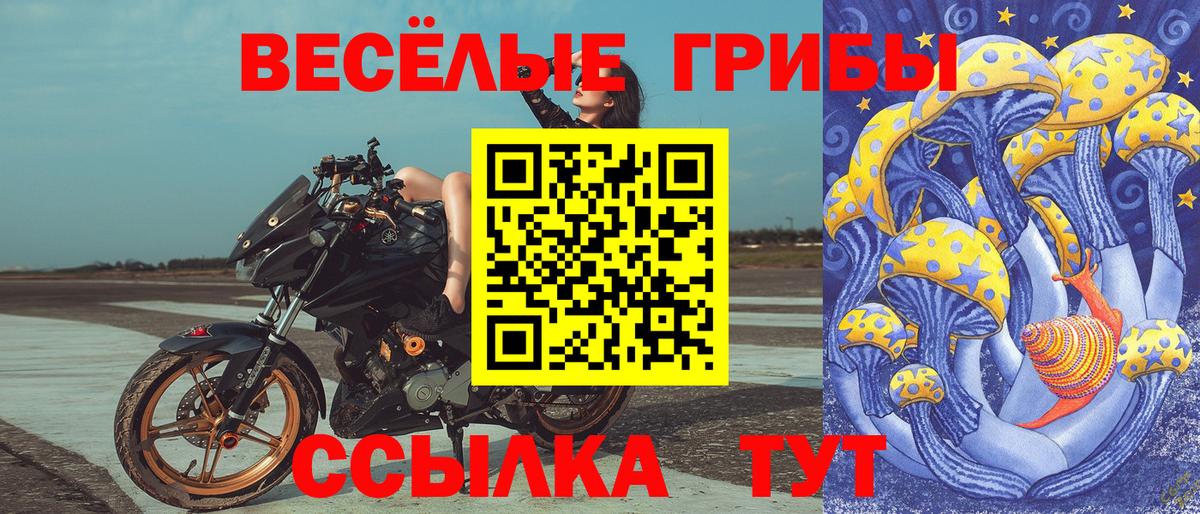 Псилоцибиновые грибы Psilocybine cubensis  Вход с VPN  Сегежа 