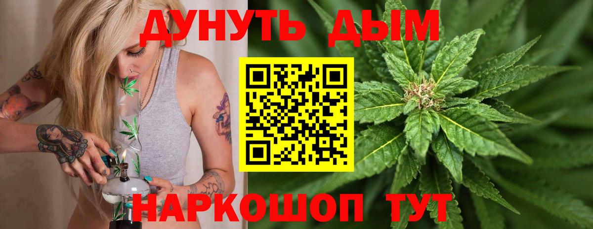 Каннабис план Сегежа